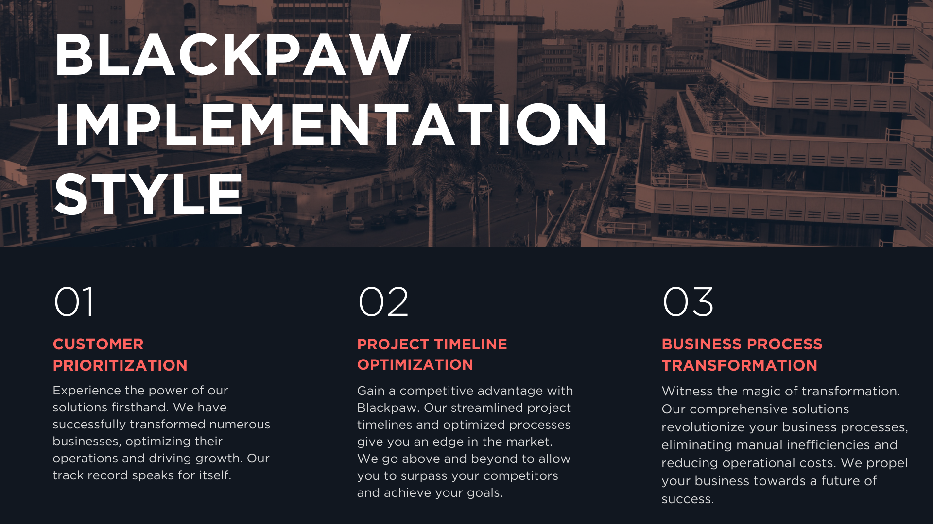 Image highlighting Blackpaw Innovations Offerings in ERP implementation